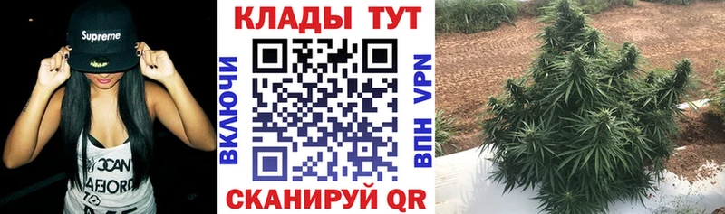 Что такое Володарск A PVP Амфетамин ГАШ Бошки Шишки Кокаин