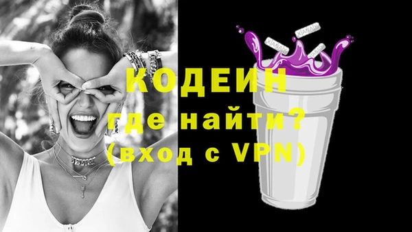 хмурый Верея