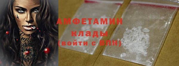 хмурый Верея