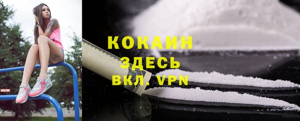 хмурый Верея