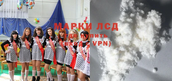 хмурый Верея