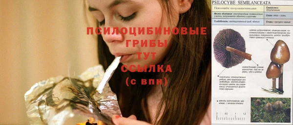 хмурый Верея