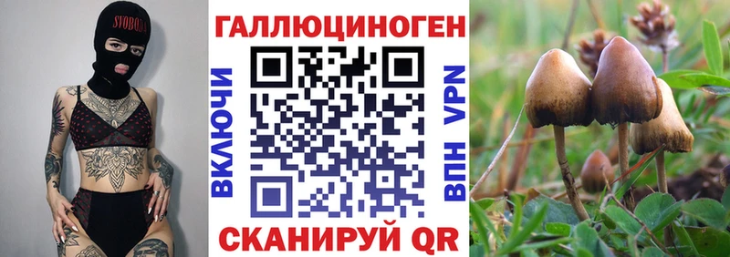 где купить наркоту  Володарск  omg рабочий сайт  Галлюциногенные грибы мухоморы 
